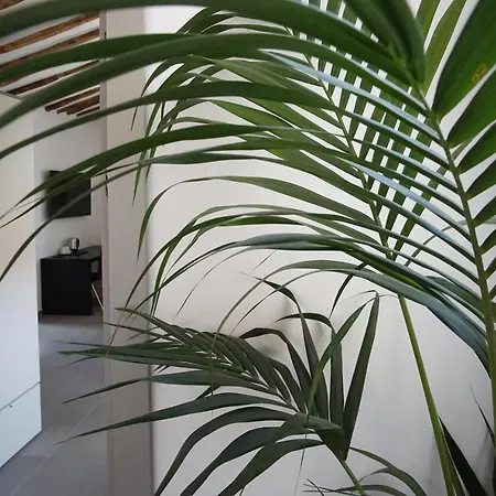 Pensión New Moon 4*